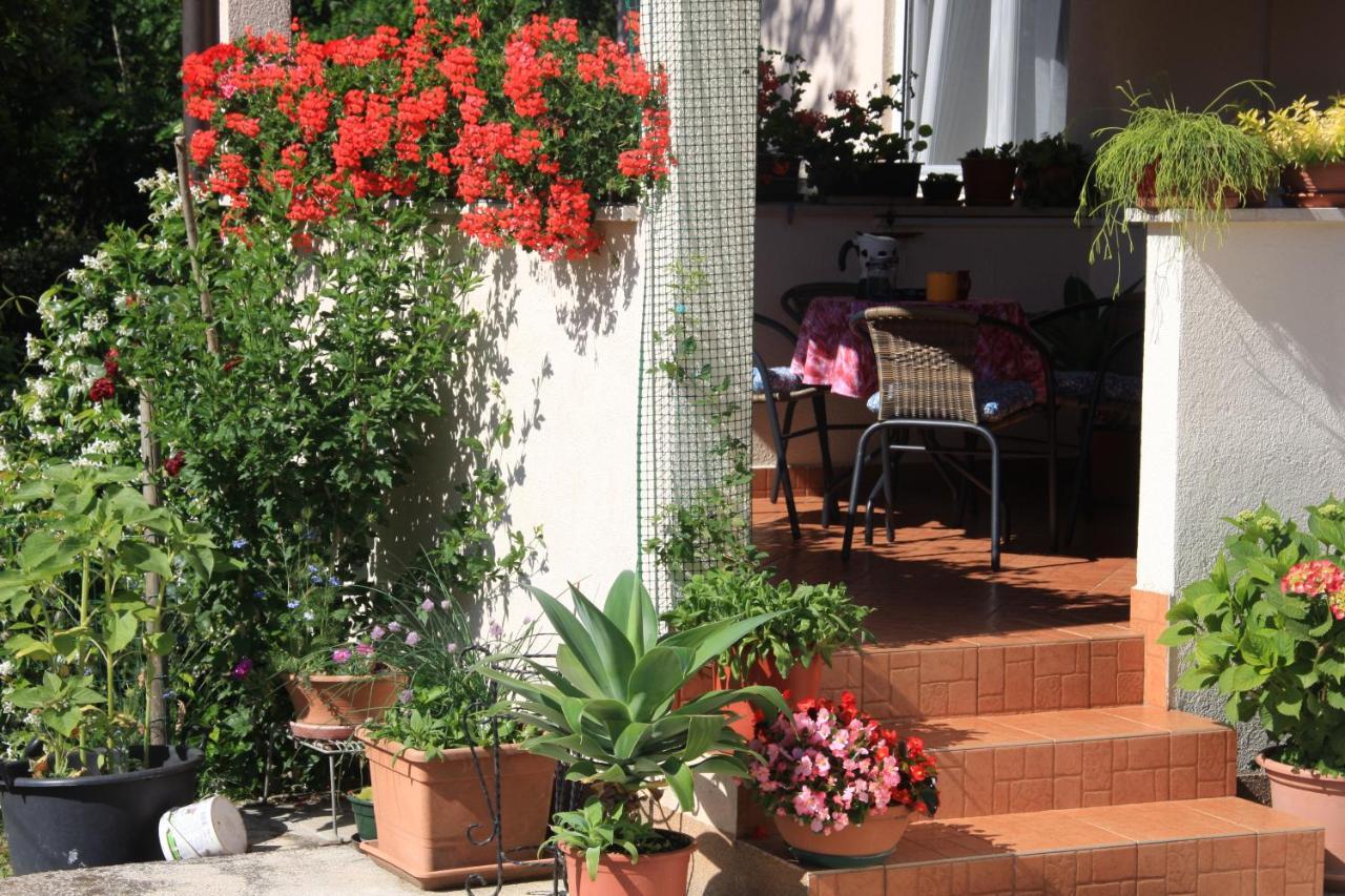 Apartman Rino Basanija Luaran gambar